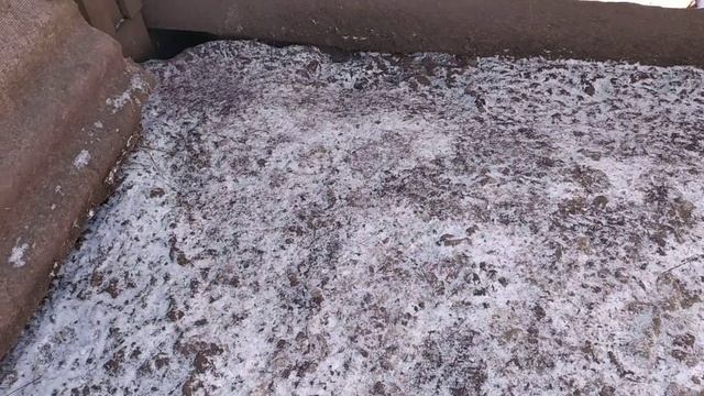 СОДЕРЖАНИЕ ГУСЕЙ в СИБИРИ смотреть онлайн