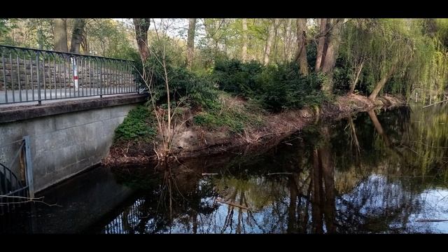 Ausflug Zum Tiergarten In Berlin-Mitte Zu Zeiten Wo Der Corona Virus Grassiert