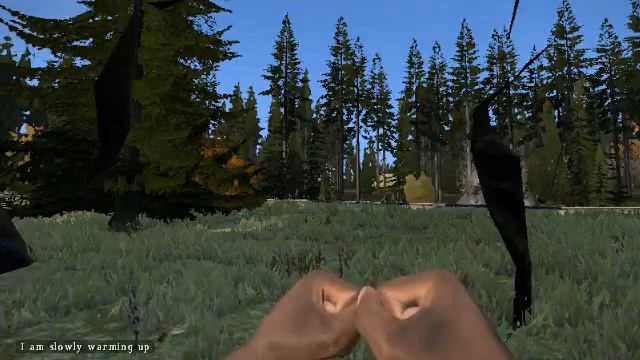 Камень, почему ты так жесток?! DayZ Sa (Aniboy) смотреть онлайн