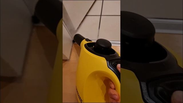 Генеральная уборка пароочистителем! смотреть онлайн