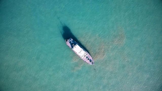 Арнольд Шварценеггер САМАЯ СИЛЬНАЯ МОТИВАЦИЯ