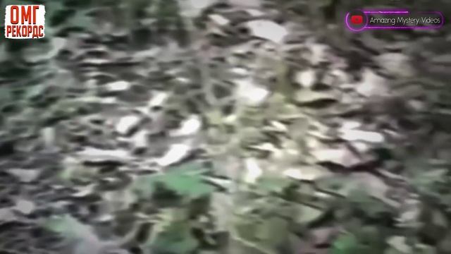 ЗАГАДОЧНЫЕ ВИДЕО КОТОРЫЕ ЗАСТАВЯТ ВАС НЕРВНИЧАТЬ. Мистические истории и существа смотреть онлайн