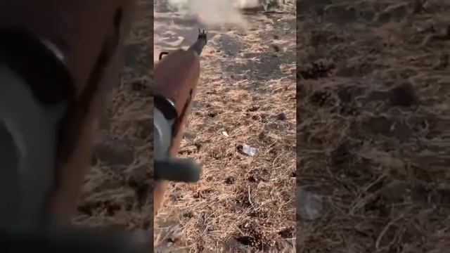#viralvideo #viral #viralvideos #viralpost #trending #explorepage #tiktok #explore #instagram смотреть онлайн