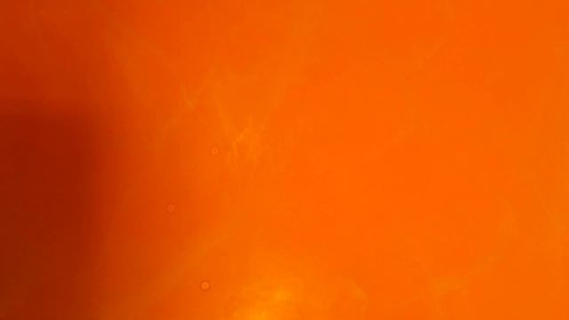 ВЕНЕЦИАНСКАЯ ШТУКАТУРКА???  Нереально красивые прожилки ??? FEIDAL Мастер-класс?