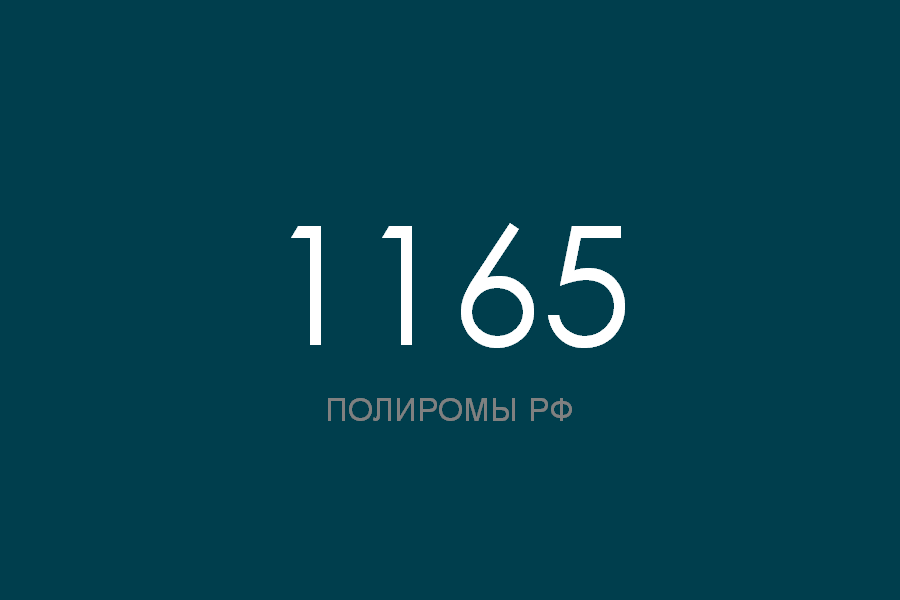 ПОЛИРОМ номер 1165 смотреть онлайн