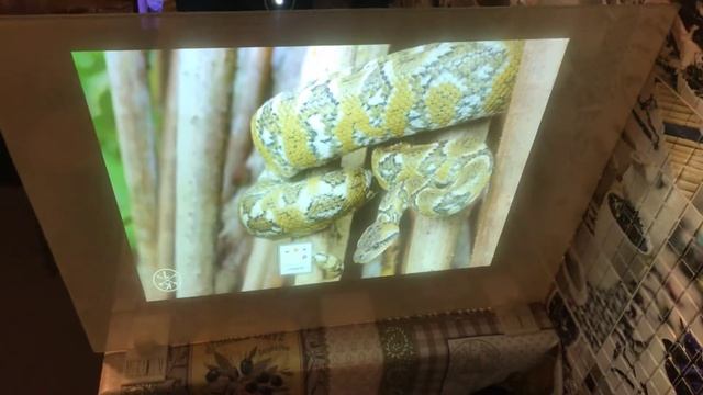 Светлая Краска обратной проекции смотреть онлайн