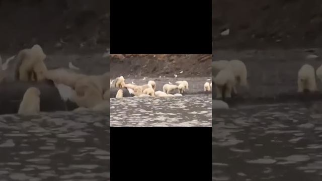 СтройТехнологии