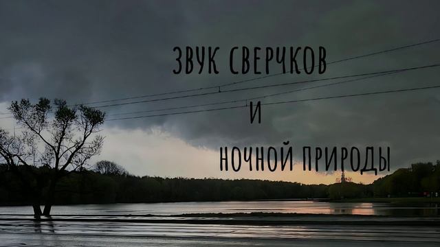 звук сверчков и ночной природы/звук птиц смотреть онлайн