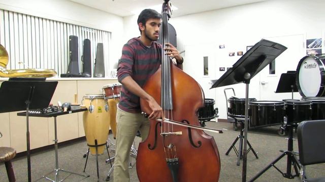 The Elephant Contrabass смотреть онлайн