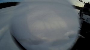 Охота на Лису капканами 2019г. Жена поймала лису! Установка капкана под след и проверка.