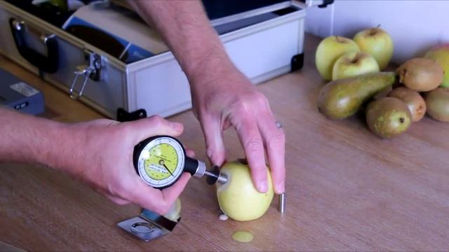 Food Quality - Penetrometer Tutorial смотреть онлайн