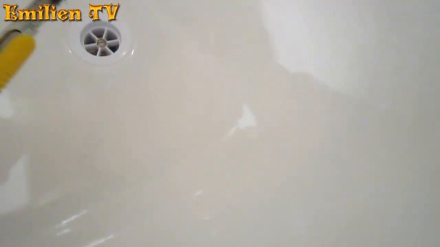 Собака, ванна и паук. The Dog, A Bath And A Spider