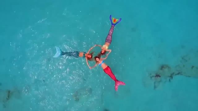 Купить хвост русалки с чешуей смотреть онлайн