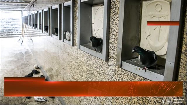МЧС Приморья выпустило предупреждение об аномально морозной погоде смотреть онлайн