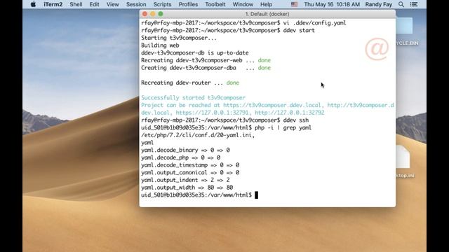 Quick and Easy Configs for Custom Docker Containers with DDEV-Local смотреть онлайн