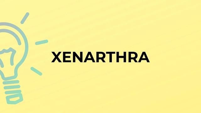 What is the meaning of the word XENARTHRA? смотреть онлайн