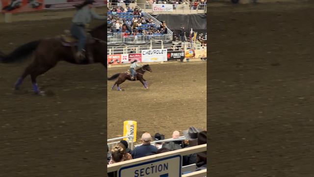 PRCA Barrel Racing 6. #viral #viralvideo #shortsvideo #shortvideo #rodeo #shortsviral #shortsfeed смотреть онлайн