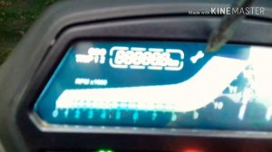 Dominar 400 Т.О и сброс сервисного интервала