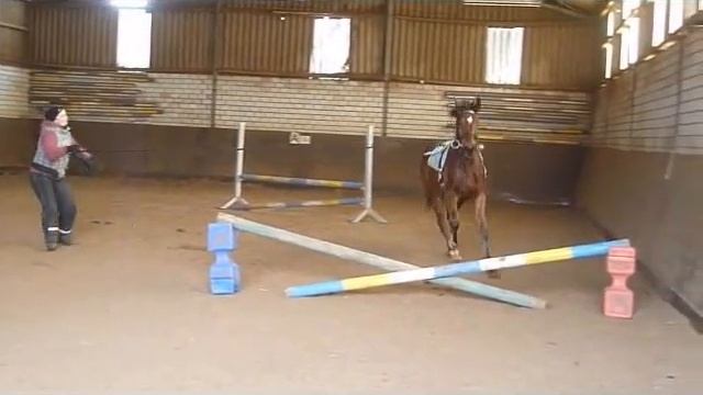 Anumbi H смотреть онлайн