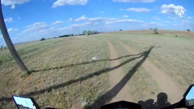 первое впечатление от пантеры 300