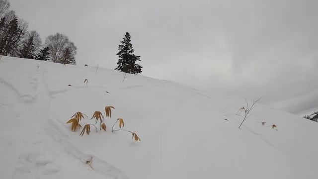 Раскаточный день на сноубайках на острове Сахалин смотреть онлайн