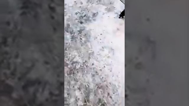 Кристина Сафронова (@kristina110687) • Instagram смотреть онлайн