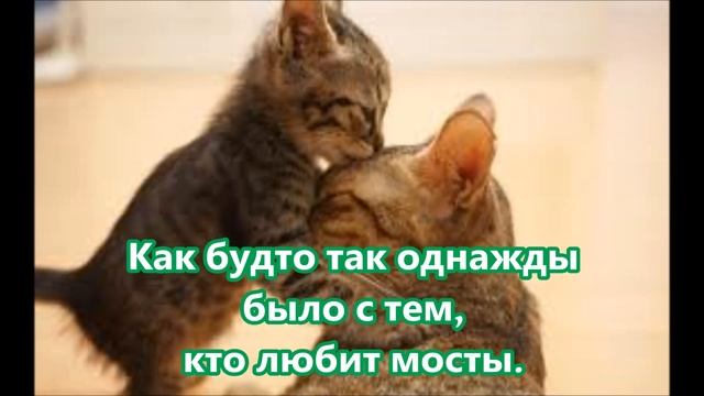 MakSim - Мама кошка (MakSim - mom cat) with lyrics смотреть онлайн