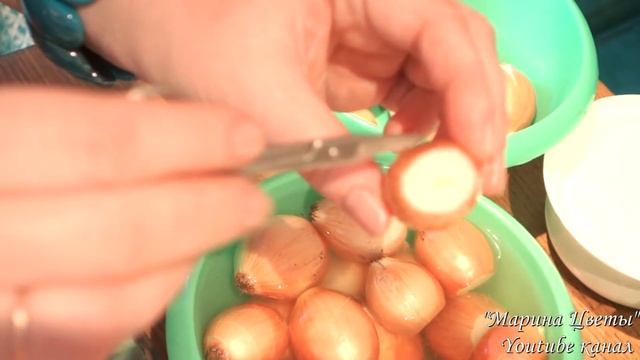 Супер-способ посадки ЗЕЛЕНОГО ЛУКА НА ПЕРО в ЯИЧНЫЙ контейнер смотреть онлайн