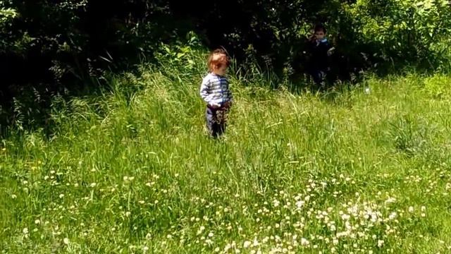 Весенняя прогулка. Природа краснодарского края смотреть онлайн
