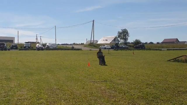 1.  выражено/перв ZHIGAN V. HAUS KOGOR (Love And Spirit Mig – Arsinoe V. Haus Kogor)