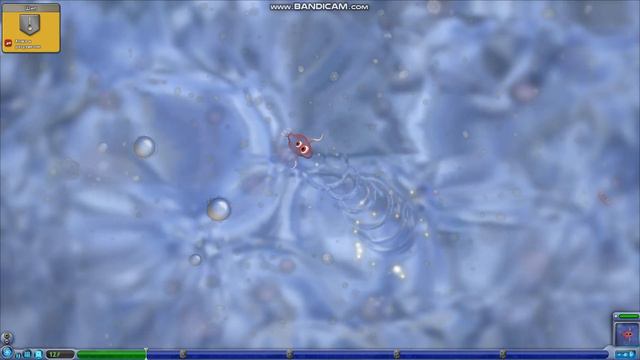 Играем в Spore этап Клетка (часть 1) смотреть онлайн