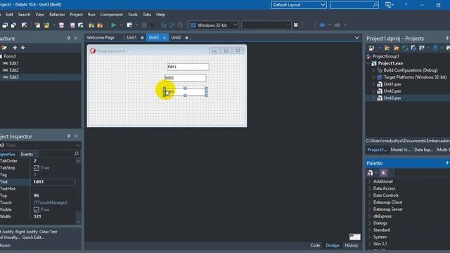 create project "login" & "reset" delphi, login from delphi смотреть онлайн