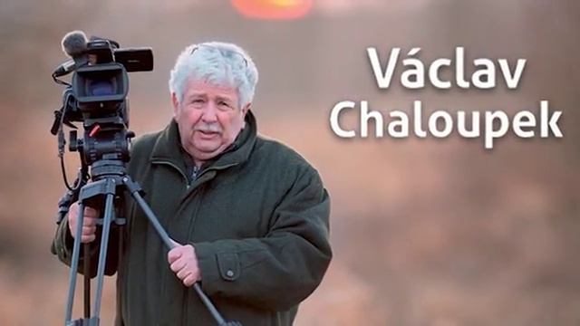 Václav Chaloupek смотреть онлайн