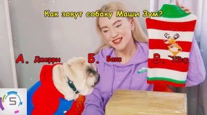 МАША ЗУМ | Насколько хорошо ты знаешь Masha Zoom?