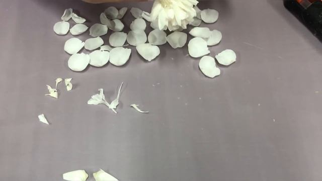 Пион стабилизированный. Как я это делаю смотреть онлайн