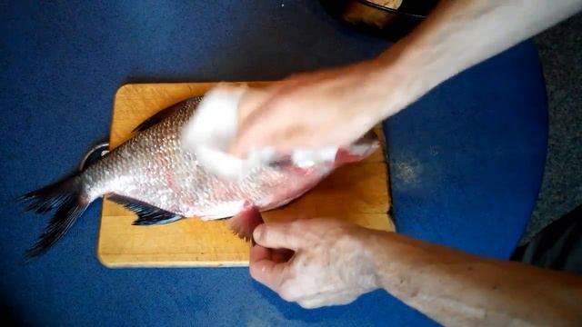 Вегетарианские Рестораны