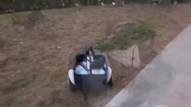 Cruising with Tyrone in the Ninebot S Plus смотреть онлайн