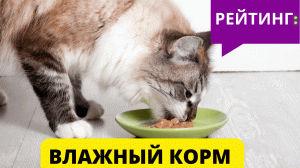 Какой худший и лучший ВЛАЖНЫЙ КОРМ ДЛЯ КОШЕК ? Эксперты Роскачества рекомендуют !