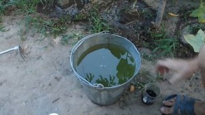 ПОДКОРМКА ОГУРЦОВ В АВГУСТЕ ГУМАТ КАЛИЯ ДЛЯ ОГУРЦОВ