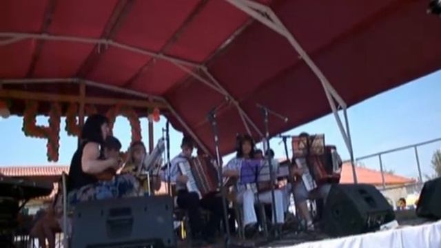 Ансамбль народных инструментов. Полька. Богородск. смотреть онлайн