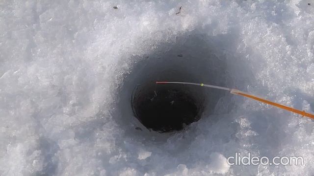 Рыбалка на Шарташе 1.03.2021 смотреть онлайн