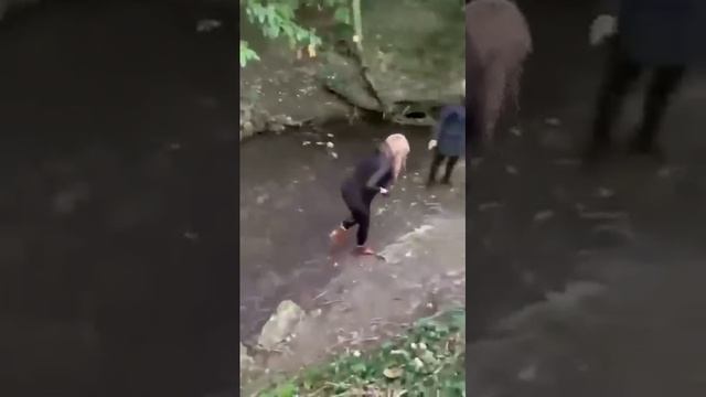 Иду на берег)) смотреть онлайн