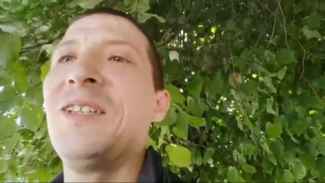 Еду в Беларусь. Стрим 6. Опочка. смотреть онлайн