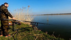 Такого я не ожидал. Ловля белого амура на платнике.