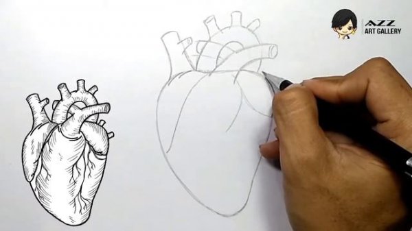 How to draw Human Heart