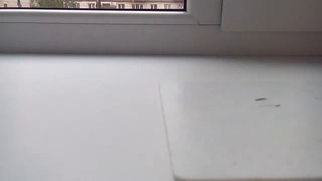 двойной пестик смотреть онлайн