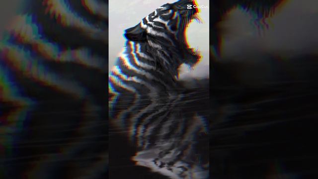 #shinchan, #shinchan#in #hindi #new #episode, #shinchan new #episode#in #hindi, #Shinchan #in #hind смотреть онлайн