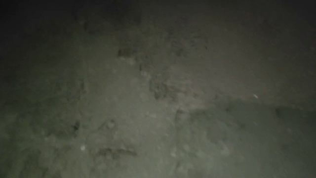 Что такое РЕТРИТ? смотреть онлайн