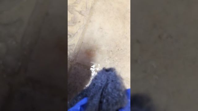 Getting wood stain off linoleum flooring смотреть онлайн