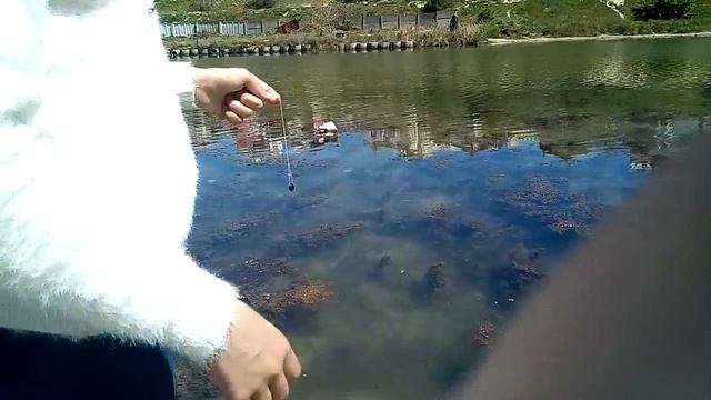 Самое загадочное видео...Вызываем водяного.Он существует!!!!! смотреть онлайн